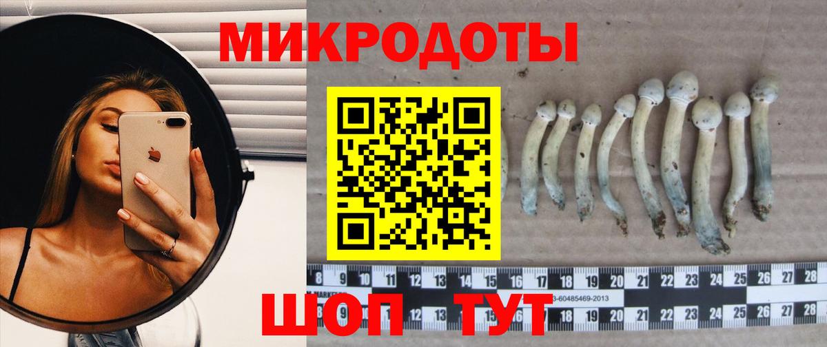 Краснокаменск  Псилоцибиновые грибы Cubensis  Вход с VPN 
